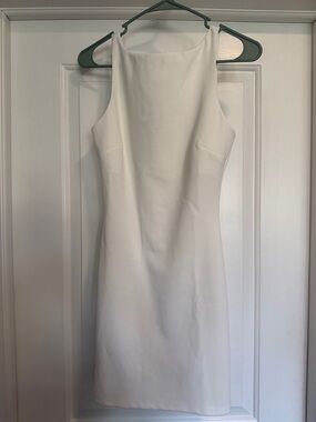 Showpo Bindi Boat Neck Bodycon Mini Dress
